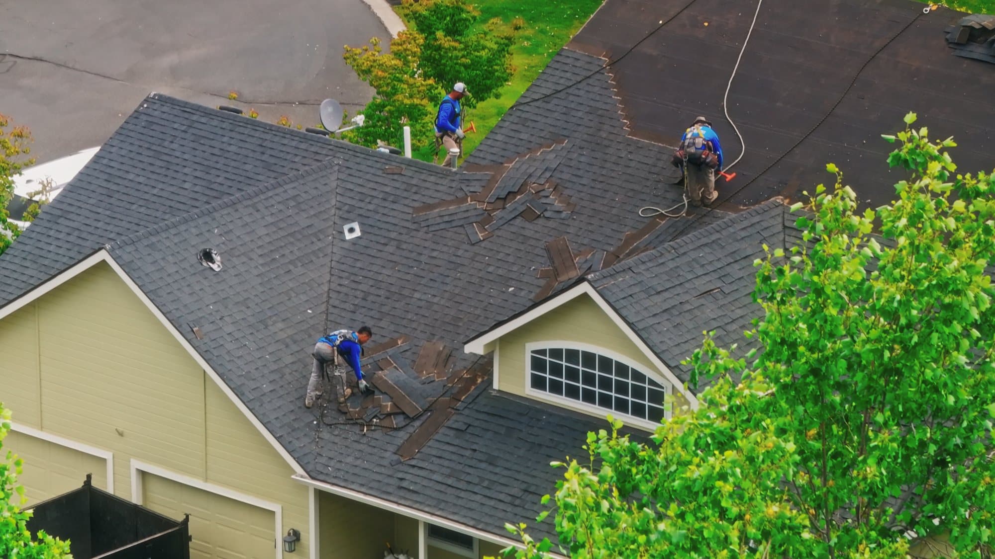 Understanding Granule Loss on Roofing Shingles in Richland, Kennewick, Pasco, WA homes