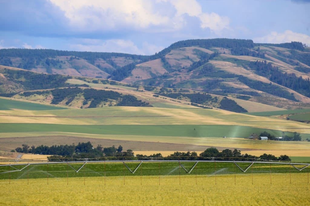 Irrigated farmland and hills near Prosser in Eastern Washington