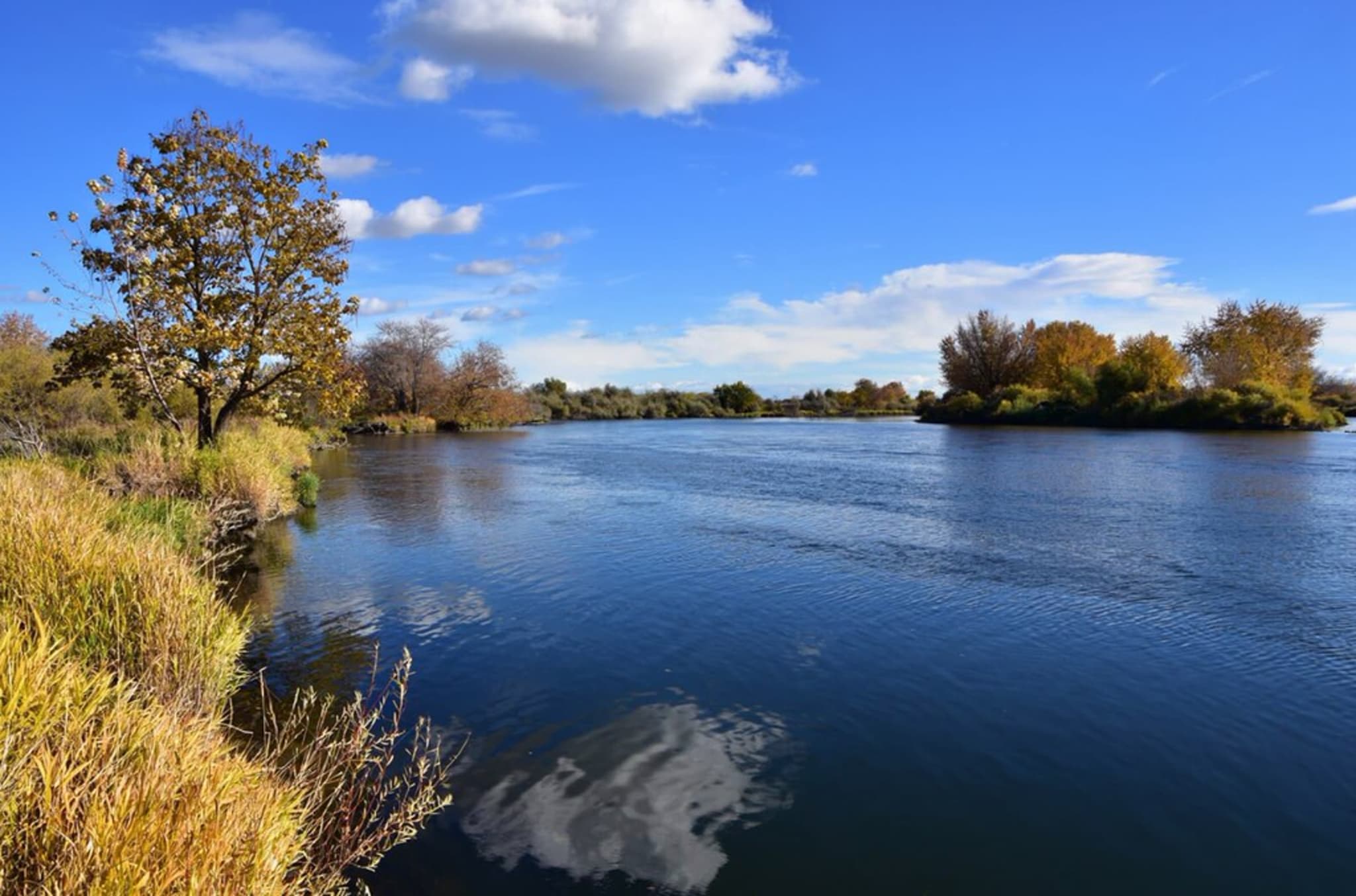 Yakima River corridor near West Richland, Washington