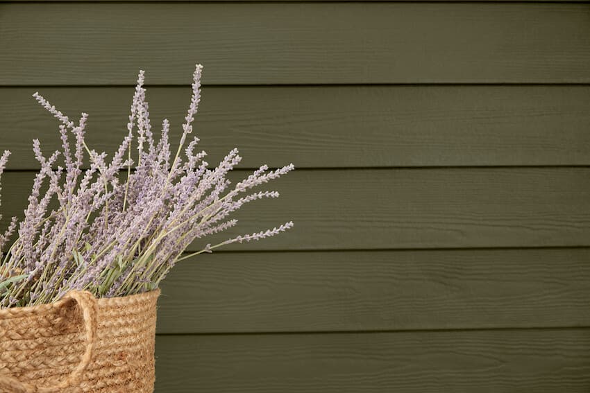 Home with Hardie Plank lap siding in Mountain Sage